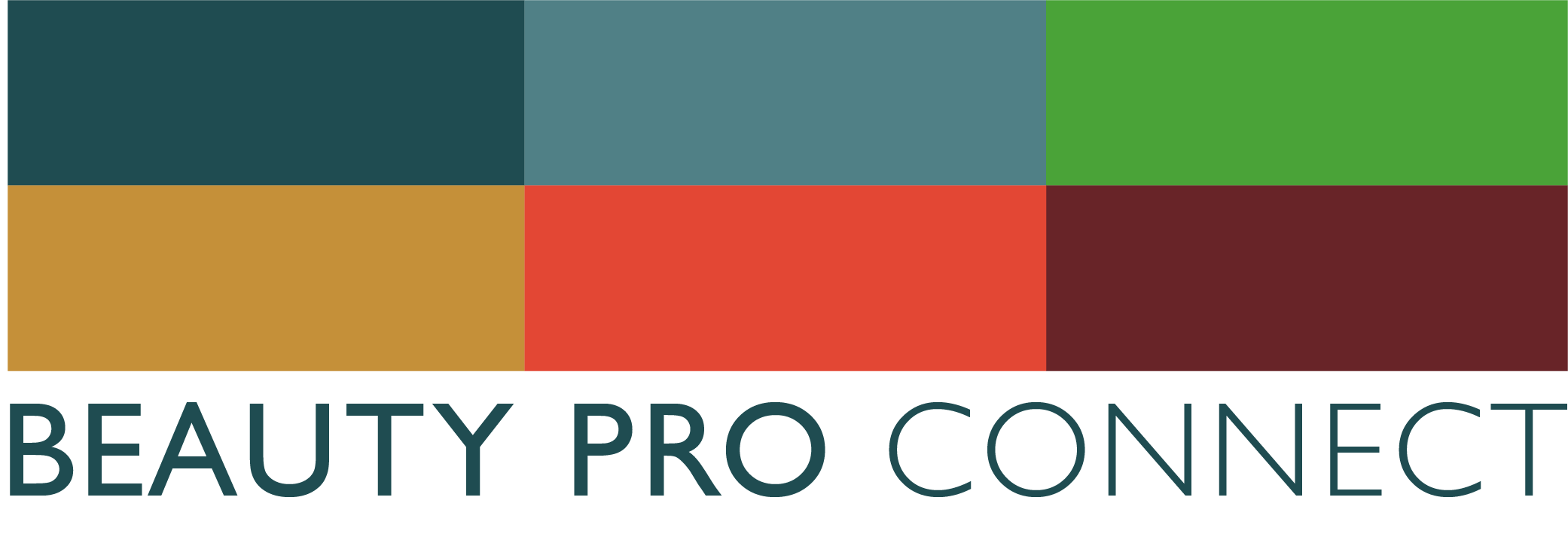 Beauty Pro Connect Logo